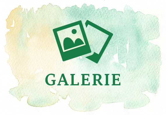 Galerie